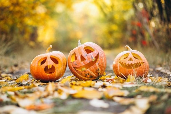 Comment fêter Halloween en Alsace?
